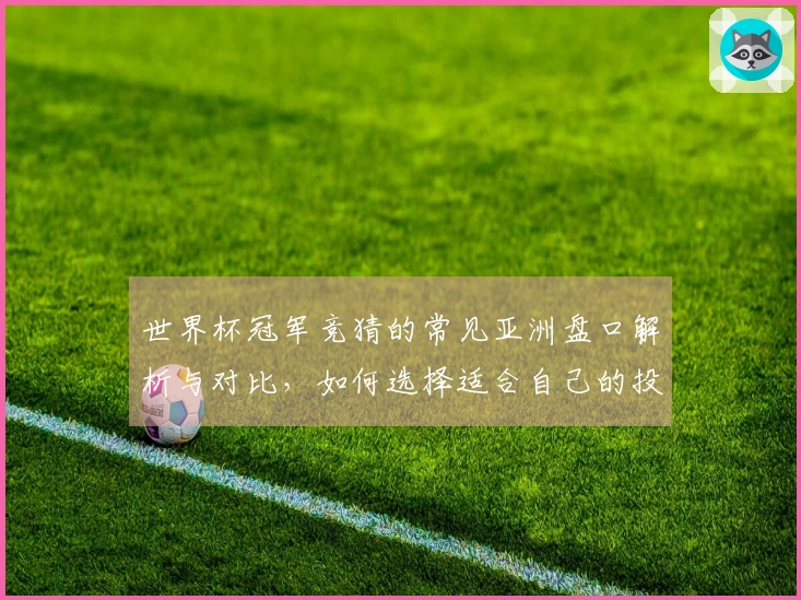 世界杯冠军竞猜的常见亚洲盘口解析与对比，如何选择适合自己的投注方式？
