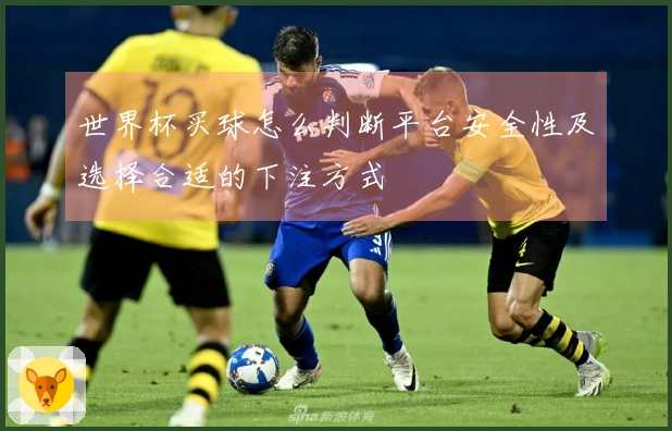 世界杯买球怎么判断平台安全性及选择合适的下注方式