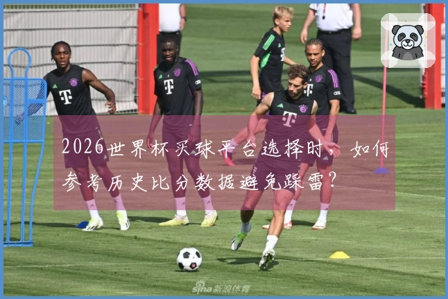 2026世界杯买球平台选择时，如何参考历史比分数据避免踩雷？