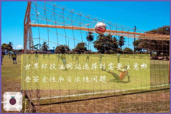 世界杯投注网站选择时需要注意哪些安全性和合法性问题